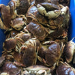 Load image into Gallery viewer, Pick Up Wednesdays in Hampton Falls, NH