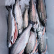 Load image into Gallery viewer, Pick Up Wednesdays in Hampton Falls, NH