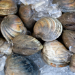 Load image into Gallery viewer, Pick Up Wednesdays in Hampton Falls, NH