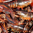 Load image into Gallery viewer, Pick Up Wednesdays in Hampton Falls, NH