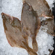 Load image into Gallery viewer, Pick Up Wednesdays in Hampton Falls, NH